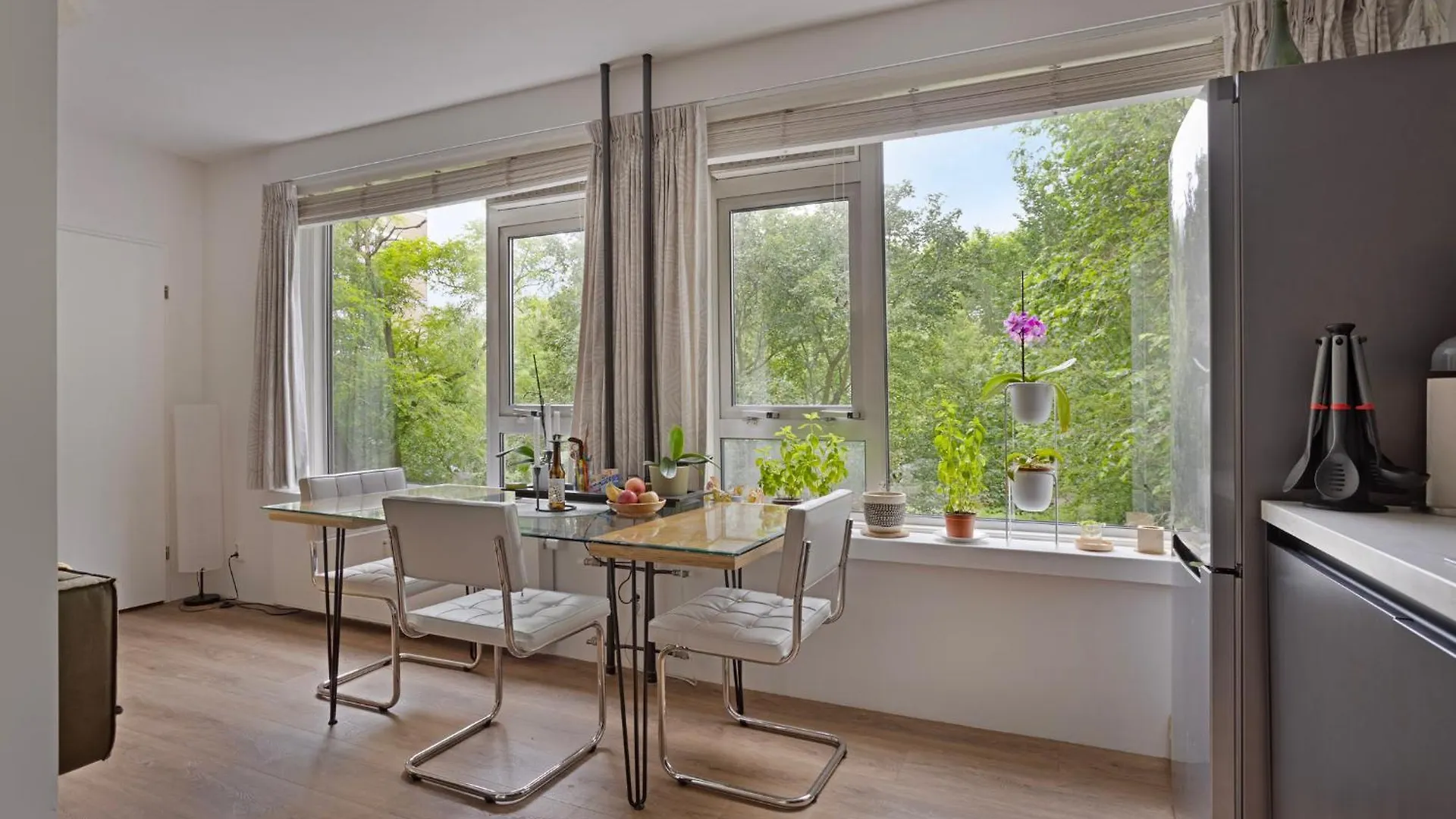Cozy Retreat With Park Views And Free Parking Apartment Amsterdam